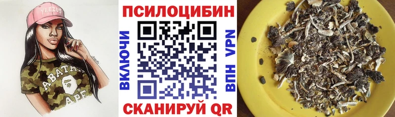 Псилоцибиновые грибы Psilocybe  наркотики  Кисловодск 