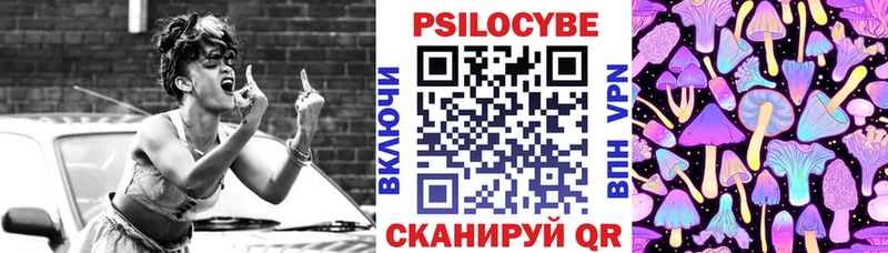 Псилоцибиновые грибы Psilocybe Кисловодск